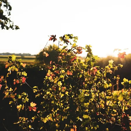 Vechteblick Διαμέρισμα